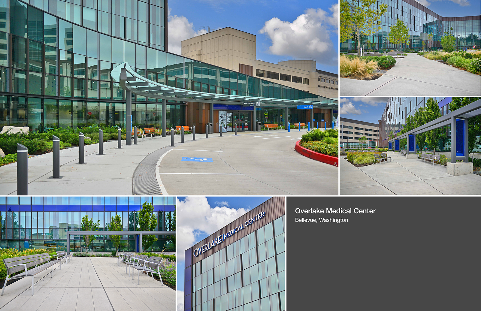 Medical_Overlake Med Center_1920x72